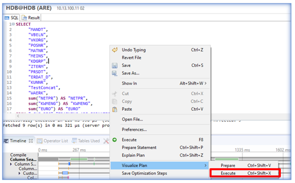 Analyseur de performance SAP Hana