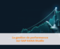 Gestion de la performance sur SAP HANA Studio
