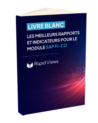 Livre blanc RapidViews FI-CO