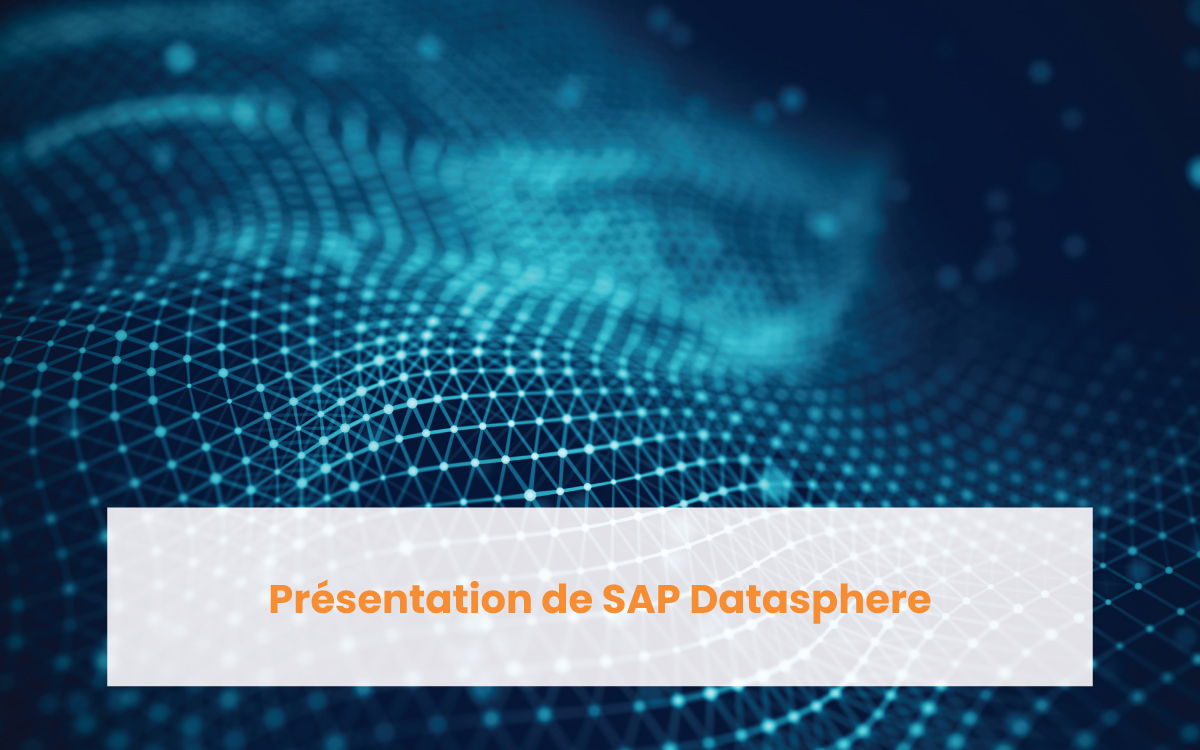Affiche blog : Présentation de SAP Datasphere - Rapid Views
