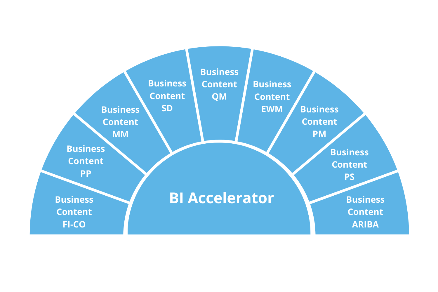 BI Accelerator RapidViews