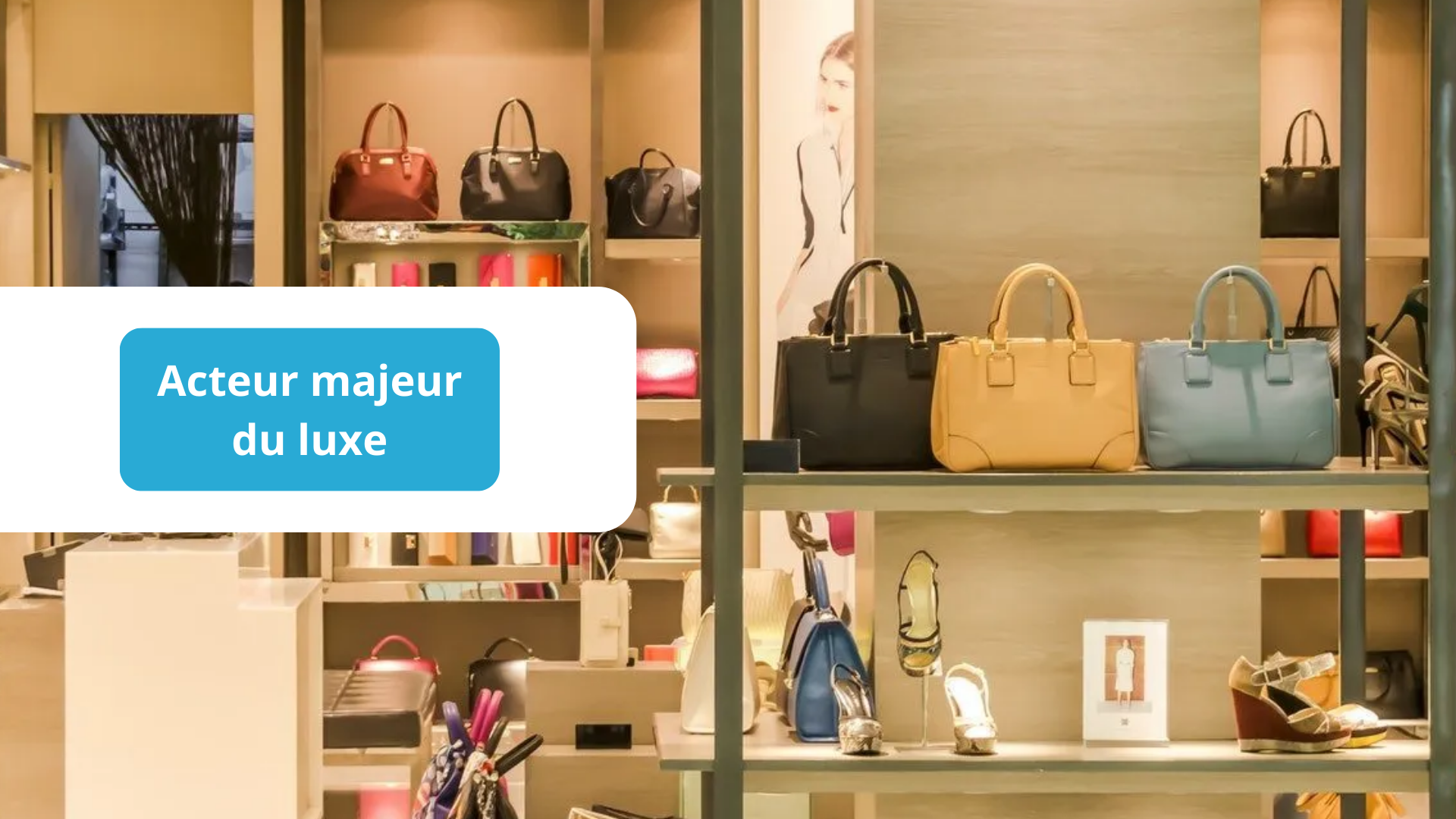 Image d'un cas client du secteur du luxe, illustrant l'utilisation de RapidViews sur SAP.