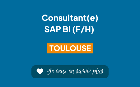 Image for the job offer of SAP BI Consultant in Toulouse at RapidViews.