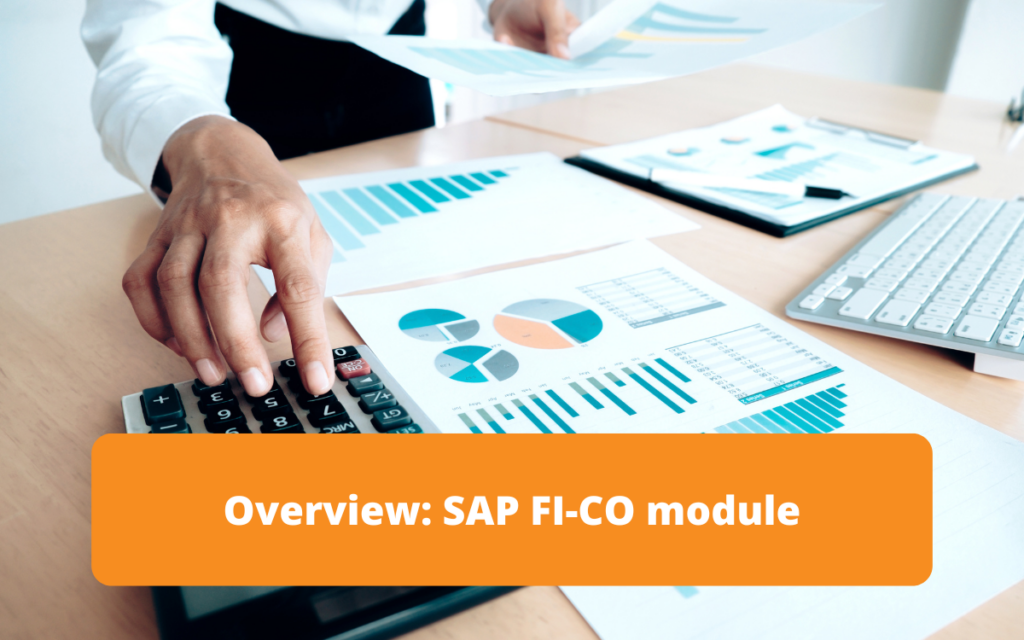 Detailed presentation of the SAP FI/CO module, covering accounting and controlling functionalities.
