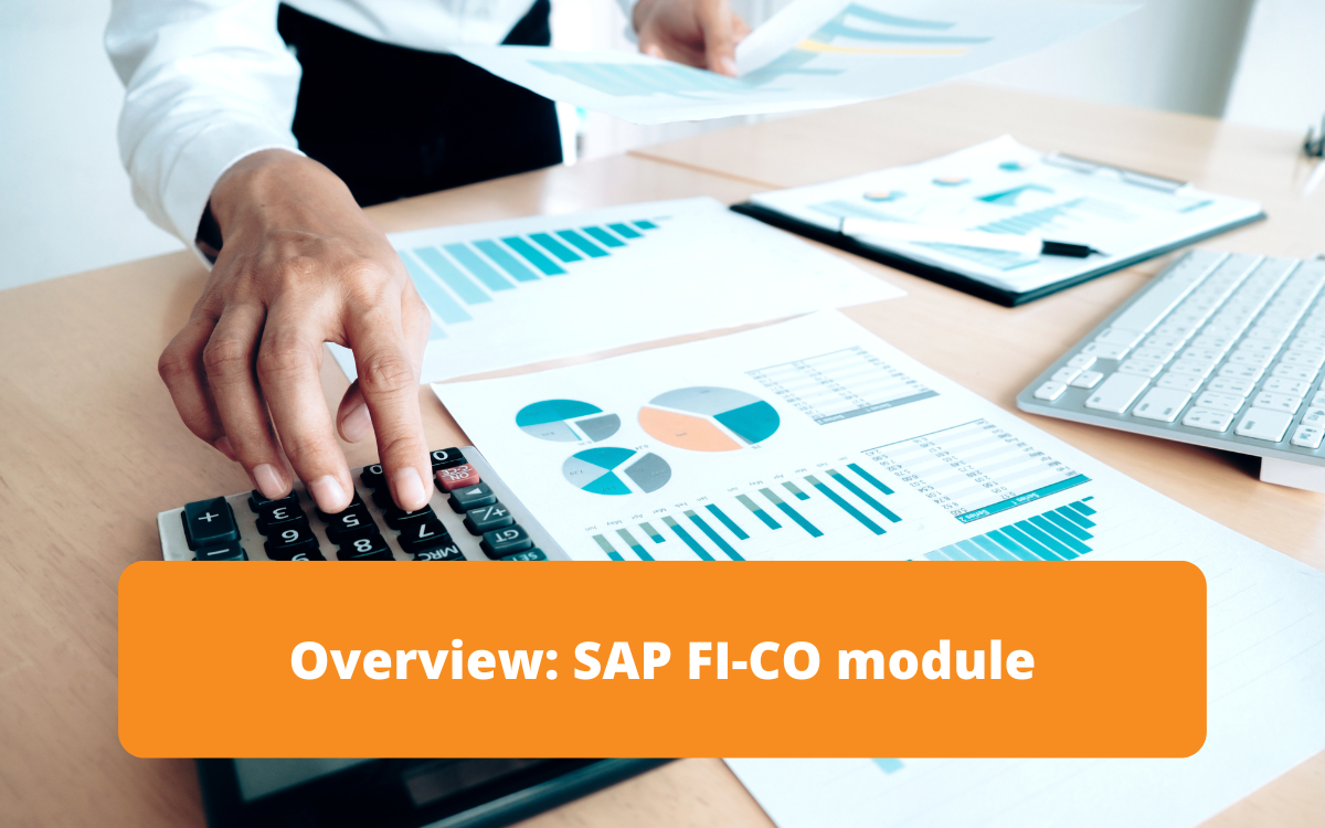 Detailed presentation of the SAP FI/CO module, covering accounting and controlling functionalities.