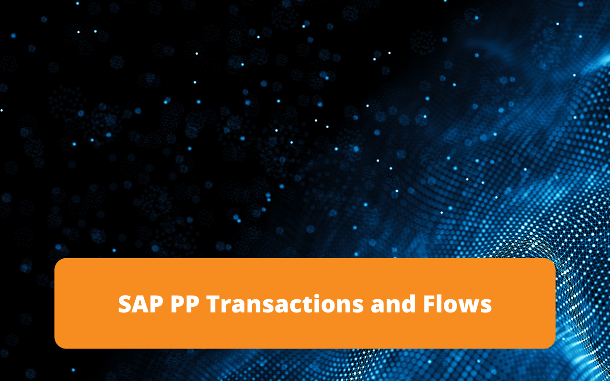 Overview of transactions and flows in SAP PP, focused on managing production and planning processes.