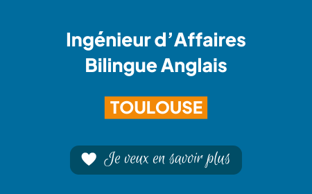 Image pour l'offre de recrutement Ingénieur d'Affaires Bilingue à Toulouse chez RapidViews.