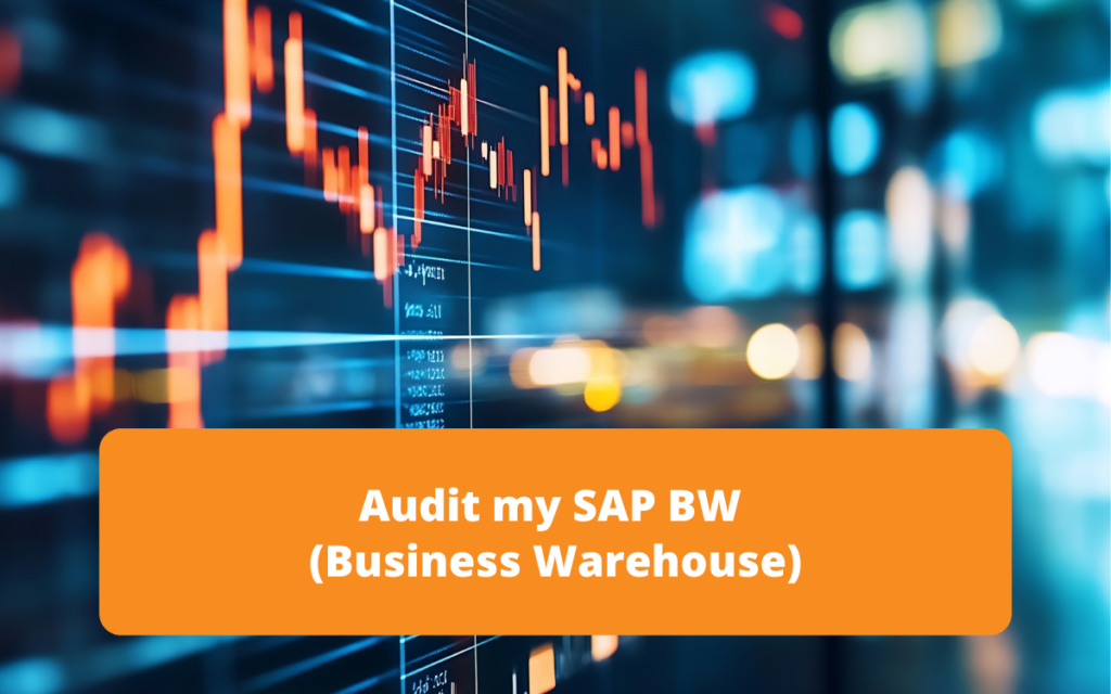 SAP-BW-Audit-Business-Warehouse