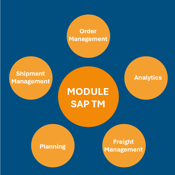 Découvrez les fonctionnalités essentielles du module SAP TM (Transportation Management) : de la planification au fret, optimisez votre logistique avec RapidViews.