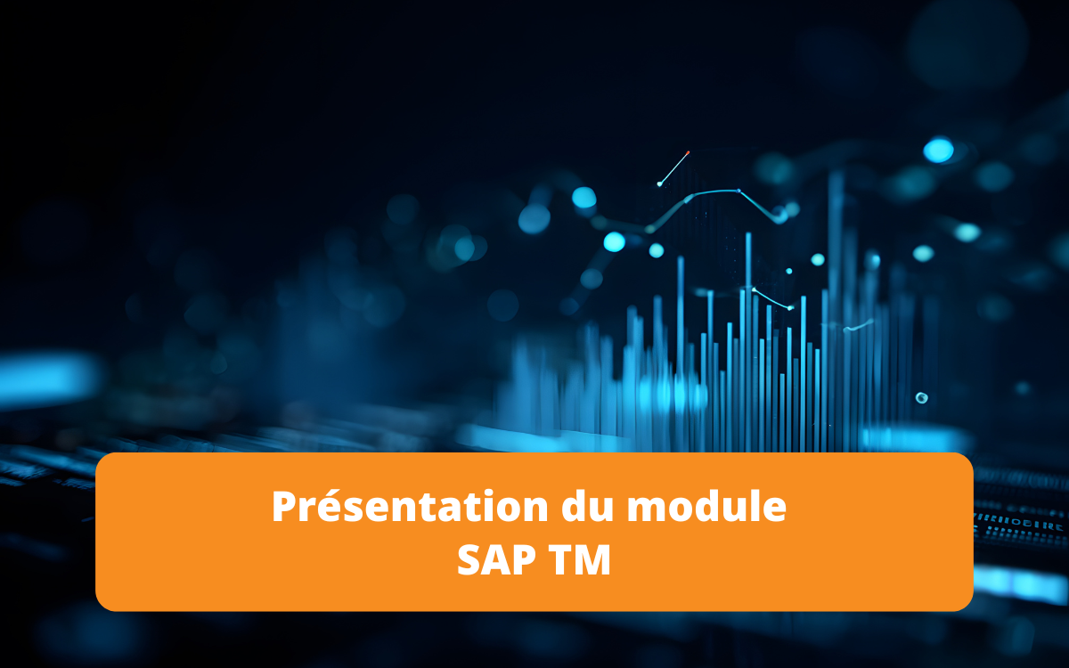 Découvrez comment le module SAP TM (Transportation Management) optimise votre chaîne logistique : planification, exécution, suivi du fret et maîtrise des coûts de transport.
