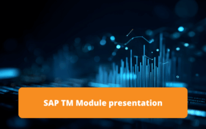 Discover how the SAP TM (Transportation Management) module optimizes your supply chain: planning, execution, freight tracking, and transport cost control.