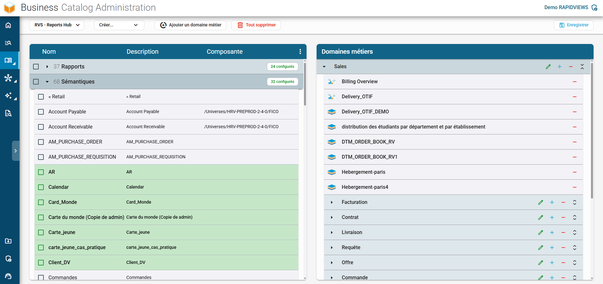 Écran d'administration du Business Catalog de RapidViews pour la configuration technique et la gestion des domaines métiers.