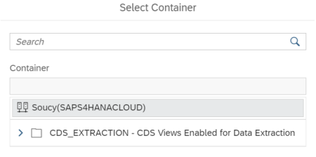 Choix container SAP Datasphere