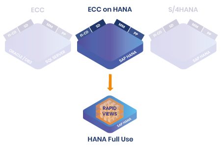 Références RapidViews ECC on HANA et HANA Full Use